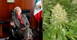 Presidenta del Senado espera aprobar la marihuana recreativa en diciembre
