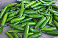 Producto de mucho consumo en México sube precio casi a diario..