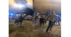30 mil pesos ganan en los jaripeos donde murió "El niño de oro"