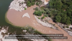 Agua turbia en Mazatlán obedece a deforestación: JUMAPAM