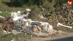 Sin luz, con basura y maleza acumulada se encuentra Infonavit Conchi