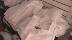 Garantiza SEPyC entrega de uniformes escolares