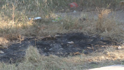 Área verde en el sector barrancos enmontada y descuidada