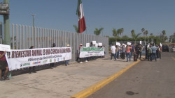 Especialista en veterinaria piden ser tomados en cuenta por los legisladores