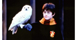 Harry Potter cumple 20 años desde "La piedra filosofal"