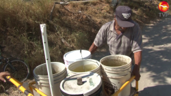 Ante desabasto de agua potable, vecinos acarrean agua del arroyo