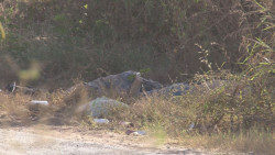 Encuentran a dos hombres asesinados