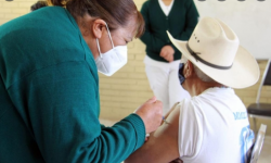 Podrían aplicar refuerzo de vacuna Covid a adultos mayores