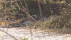Nueva ola de violencia en Culiacán