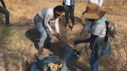 LOCALIZAN MADRES BUSCADORAS 20 CUERPOS EN FOSAS EN LA COSTA DE HERMOSILLO