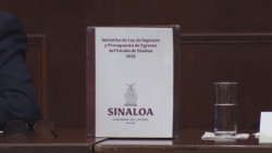 En proyecto de presupuesto de garantiza atención en basificaciones y viuda de policías