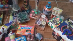 Celebran protectoras de animales prohibición de venta de pirotecnia nociva