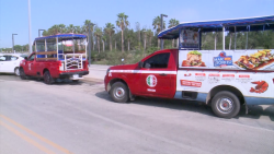 Aurigas de acuerdo con operativo "Anti Ruido".