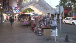 Golondrinos afectan al comercio local-CANACO