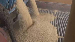 Presentan programa de precios de garantía para frijol y maíz a pequeños productores