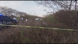 Posiblemente de Durango la mujer que se encontró asesinada en la carretera a Sanaloa