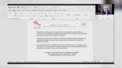 Red Feminista Sonorense en la busqueda de un presupuesto
