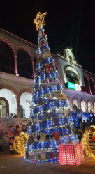 Enciende  la UAS su árbol de navidad