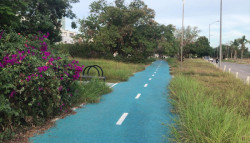 Piden limpieza en camellones de la avenida Sábalo-Cerritos