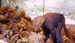 Crearán la ruta del mezcal en Mazatlán