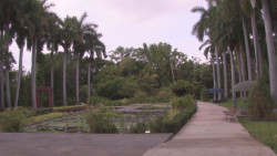 La Fiscal General se acerca a la familia de la victima de supuesta violación por guardia del Jardín Botánico