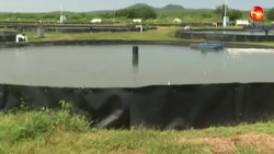 Quedo a deber presupuesto para pesca: USCADSIN