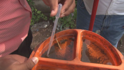 Salvador Alvarado y Culiacán encabezan casos de dengue en Sinaloa