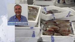 Burocracia de COFEPRIS frena exportaciones: CANAINPESCA