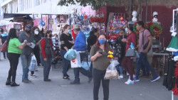 Con protocolos de sanidad