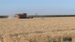 Registra el Valle del Yaqui déficit de horas frío