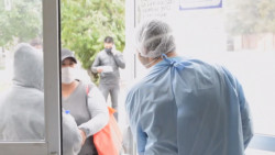 Se registran filas para prueba PCR