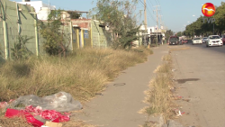 Molesta maleza y basura por el Libramiento Dos