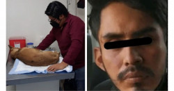 Detienen a Mario por poner cohetón en el hocico de un perro el 24