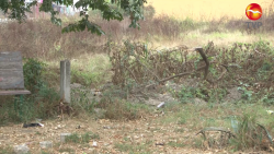 Falta limpieza en parque de Las Misiones