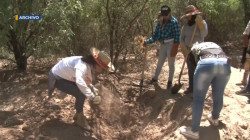 Piden las Madres Buscadoras de Sonora tregua con el crimen organizado