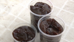 Conserva, la dulce tradición de Cosalá