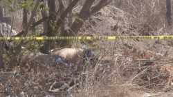 Seis homicidios en los primeros días de Enero