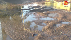 Baches y fuga en la México 68