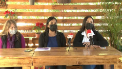 Activan programa de recolección de pinos en CO