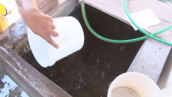 Sinaloa está dentro del los estados con mayor número de casos de dengue