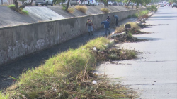 Realizan limpieza de canales pluviales