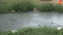 Estancamiento de aguas negras en la Jesús Kumata