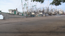 Pocos barcos se aventuran a un tercer viaje de capturas