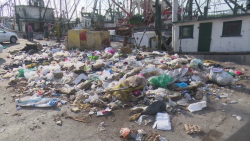 Muelles del Parque Bonfil convertidos en "Basurón"