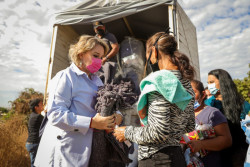 Entrega DIF Sinaloa  23 mil 413 despensas a familias vulnerables