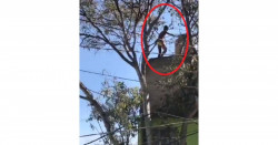 El "matapolicías" resbaló de 3er piso cuando trataban de detenerlo (video)