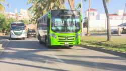 Alta en Insumos afecta al sector transportista