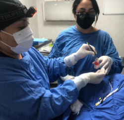 Logra el IMSS Sinaloa la procuración de córneas