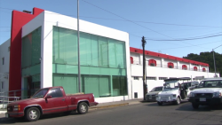 Mas del 50% de la pruebas covid son positivas en Cruz Roja