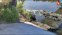 Capturan a cocodrilo en canal de Villa Galaxia